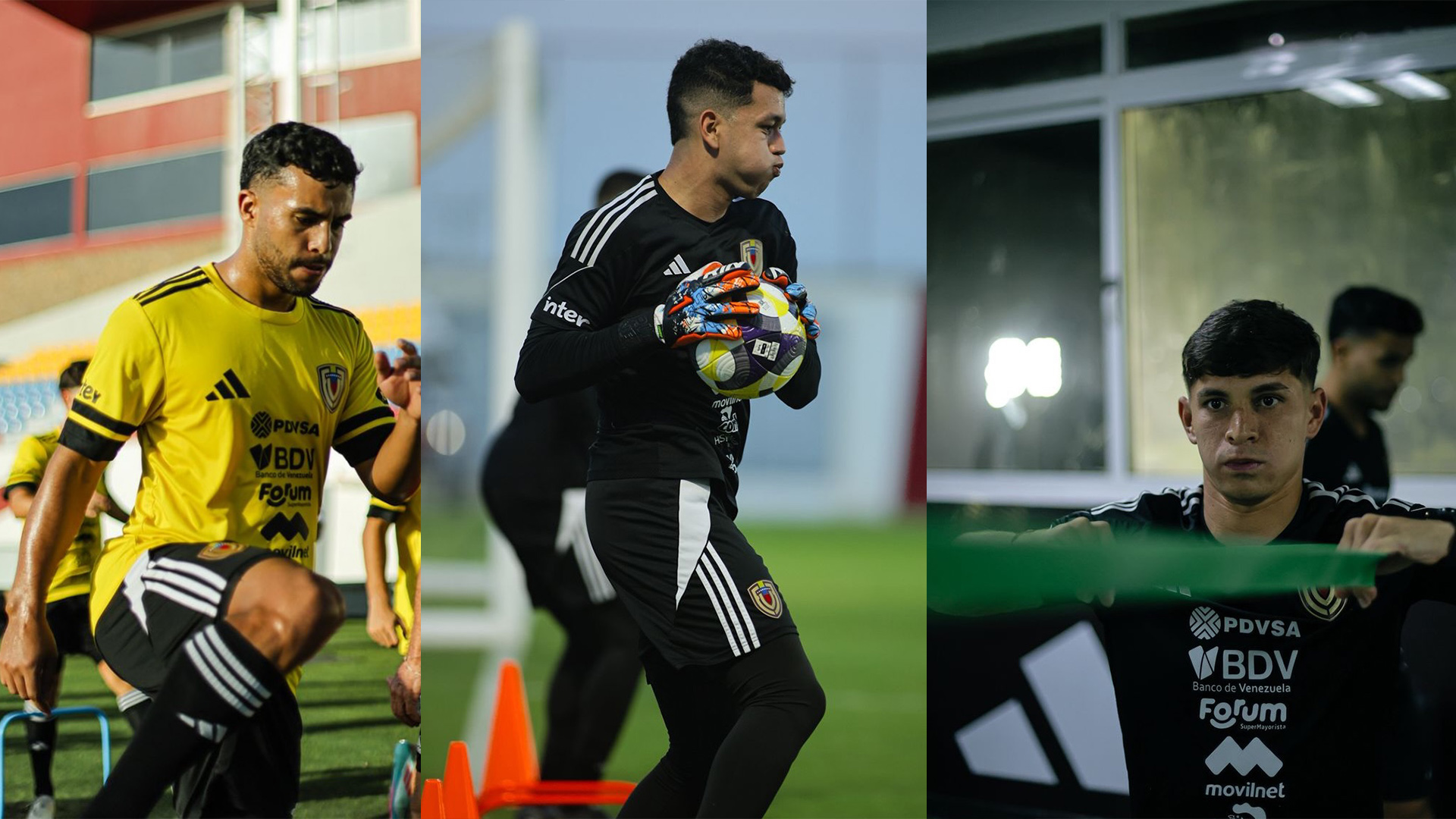 Presentes en el Módulo Absoluto de la vinotinto